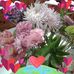 Sara Hey - Facebook