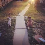Sara Heyl - @saraheyl - Instagram