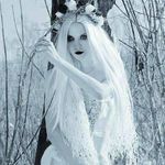 Sara Fasolino Hickman - @sara.hickman.140 - Instagram