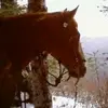 Sarajanehigby - @sarajanehigby - TikTok