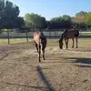 sarahhightower6 - @sarahhightower6 - TikTok