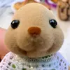 sara - @sarahighnuts - TikTok