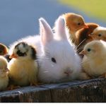 daily animal and me pictures - @sara.himes.20076 - Instagram