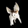 sarah - @sarah.himes - TikTok