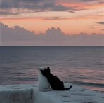 Sara Hinde - Facebook