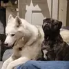 Sarah Hingley - @sarah.hingley - TikTok