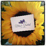 Sara Hinton - @sarablackorchid - Instagram