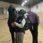 Sara Hinton - @s.h.dressage - Instagram