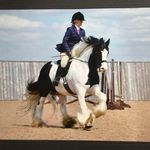 Sarah Hinton - @sarah.hinton.9026 - Instagram
