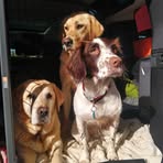 Sara Hird - Facebook