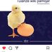 Sara Hoch - Facebook