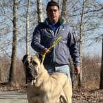 🔱 sarabi 🔱 - @homan.sarab.dog - Instagram