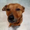 sarah.homan - @sarah.homan - TikTok