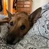 SaraHopper - @sarahop13 - TikTok