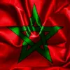 Sara. House - @sarahouse.ma - TikTok