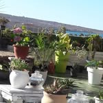 Sara House Nador - @sarahousenador - Instagram