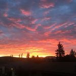 Sara Iverson - @sara.iverson.568 - Instagram