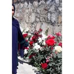 Sara - @s.a.r.a_javaheri - Instagram
