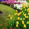 Precious - @sara.javed82 - TikTok