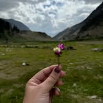 Sara Javed Khan - @the_pantofolaio_here - Instagram