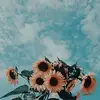 Sara - @sara.javed895 - TikTok