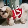 🐕BELLA🐕 - @sarajena33 - TikTok