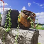Sara Jespersen - @tak12_ceramics - Instagram