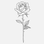 Sara Jess - Facebook