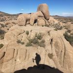 SJ - @sarajesterflannery - Instagram