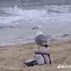 sarajin - @ramen.jpeg - TikTok