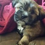 Sara Jobe - @_97mom03_ - Instagram
