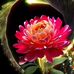 Sara Jose - Facebook