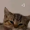 sarajoss - @sarajoss5 - TikTok