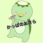 【公式】handmadeshop🥒かっぱのおさら 実店舗 - @kappano.osara - Instagram