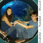 Sara Karcher - @loves_rainbows40 - Instagram