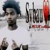 nevertrust - @sarakashani4 - TikTok