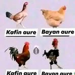 Abbakar A Sarakee - Facebook