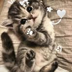Sara Kerly - Facebook