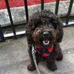Sara Kew - @potty67 - Instagram