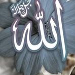 Sara Khattab - Facebook