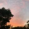 🦋Sara🦋 - @kittsara2 - TikTok