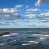 sarahkoop - @sarahkoop - TikTok
