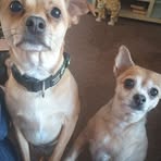 Sarah Laird - Facebook