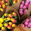 ✨Sara✨ - @saralandon5 - TikTok