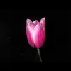 Sara_Laporta - @sara_laporta_ - TikTok