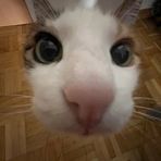 Sara Larez - Facebook