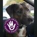 Sara Leamon - Facebook