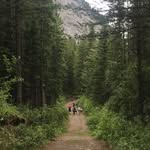 Sara Leavitt - @sara.leavitt.54 - Instagram