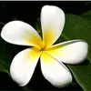 Sarah Leavitt975 - @user472851980 - TikTok