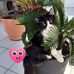 Sara Lepore - Facebook